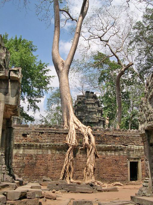 ANGKOR