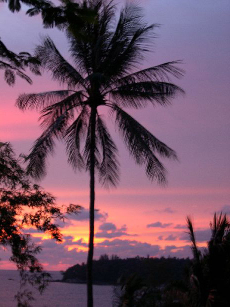 retour photos Thailande