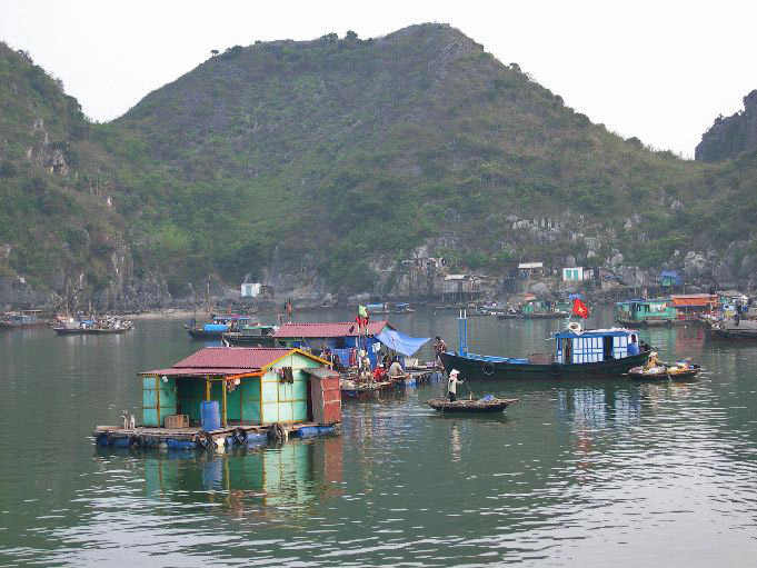 Bai d Along